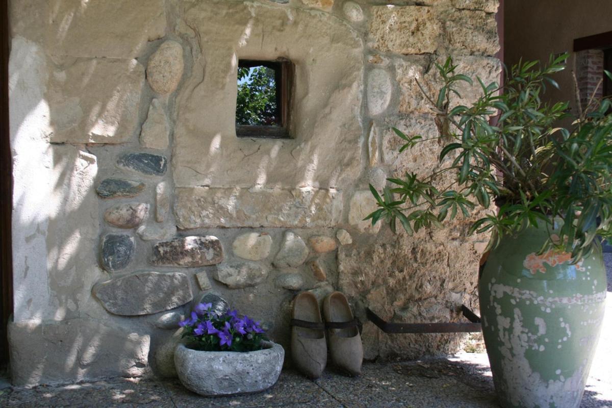 Les Pascals Bed & Breakfast Saint-Paul-les-Romans Exterior photo