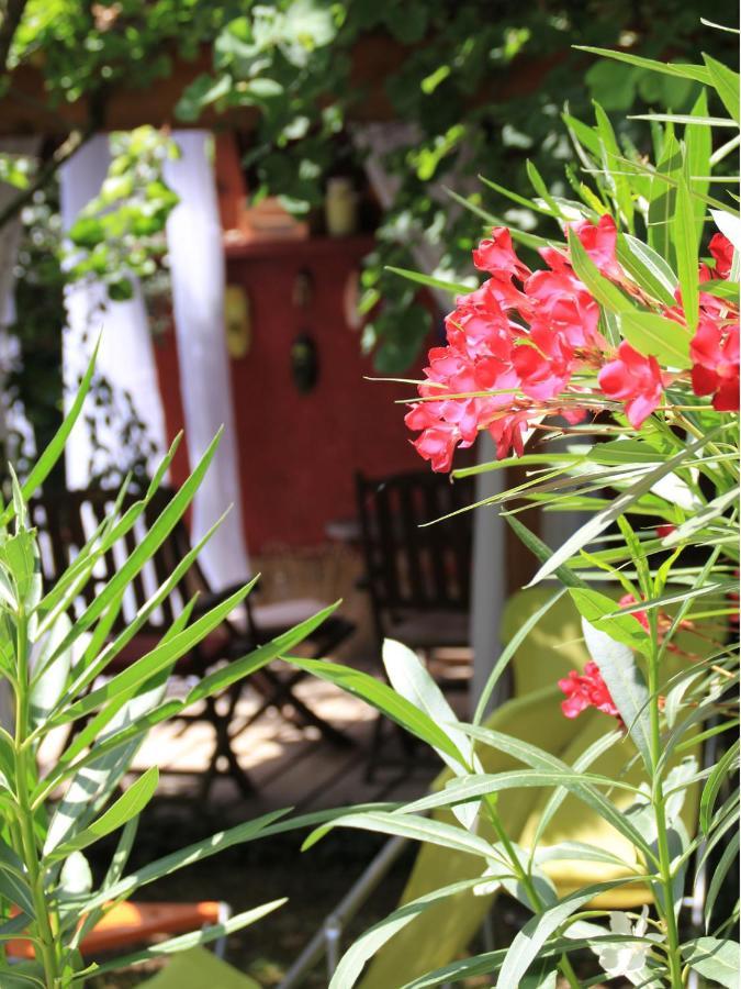 Les Pascals Bed & Breakfast Saint-Paul-les-Romans Exterior photo