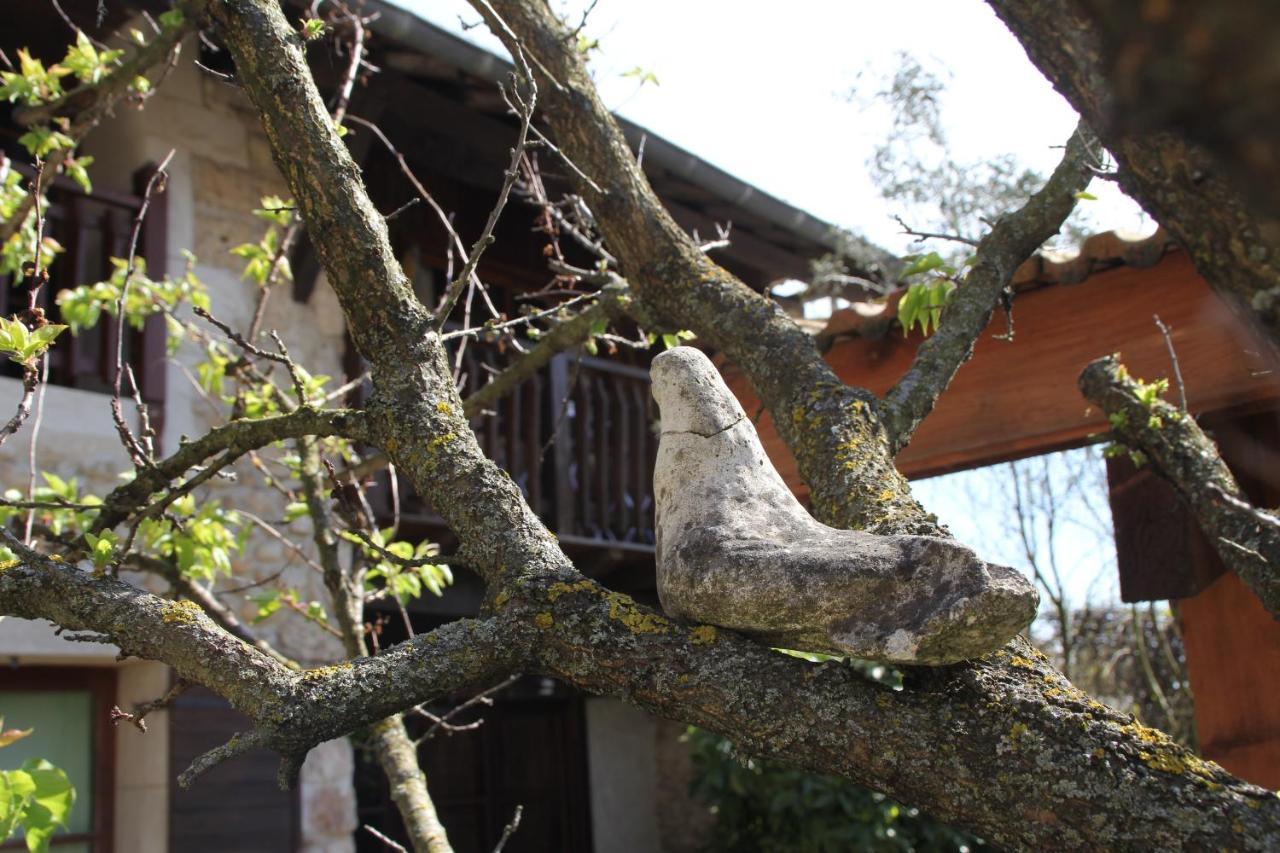 Les Pascals Bed & Breakfast Saint-Paul-les-Romans Exterior photo
